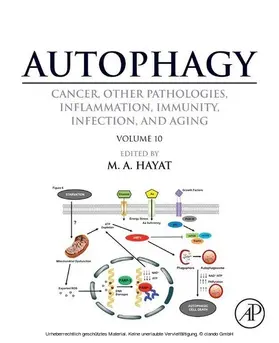 Hayat |  Autophagy: Cancer, Other Pathologies, Inflammation, Immunity, Infection, and Aging | eBook | Sack Fachmedien