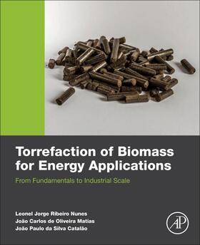 Nunes / De Oliveira Matias / Da Silva Catalao |  Torrefaction of Biomass for Energy Applications | Buch |  Sack Fachmedien