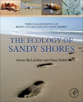 McLachlan / Defeo |  The Ecology of Sandy Shores | Buch |  Sack Fachmedien