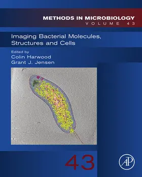 Harwood / Jensen |  Imaging Bacterial Molecules, Structures and Cells | eBook | Sack Fachmedien