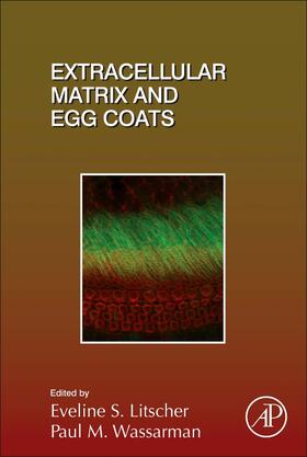  Extracellular Matrix and Egg Coats | Buch |  Sack Fachmedien