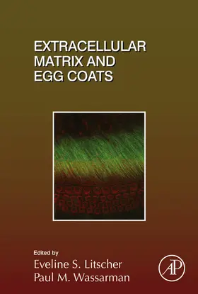 Litscher / Wassarman |  Extracellular Matrix and Egg Coats | eBook | Sack Fachmedien