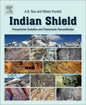 Roy / Purohit |  Indian Shield | Buch |  Sack Fachmedien