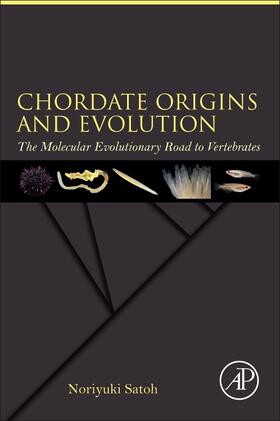 Satoh |  Chordate Origins and Evolution | Buch |  Sack Fachmedien