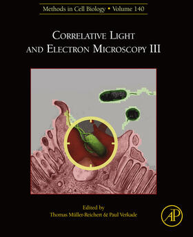 Muller-Reichert / Verkade |  Correlative Light and Electron Microscopy III | eBook | Sack Fachmedien