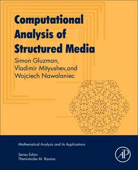 Gluzman / Mityushev / Nawalaniec |  Computational Analysis of Structured Media | Buch |  Sack Fachmedien