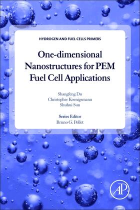 Koenigsmann / Du / Sun |  One-dimensional Nanostructures for PEM Fuel Cell Applications | Buch |  Sack Fachmedien