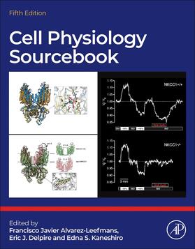 Alvarez-Leefmans / Delpire / Kaneshiro |  Cell Physiology Source Book | Buch |  Sack Fachmedien
