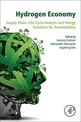Scipioni / Manzardo / Ren |  Hydrogen Economy | Buch |  Sack Fachmedien