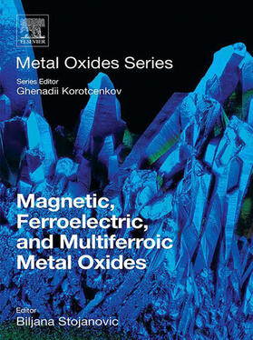Stojanovic / Korotcenkov |  Magnetic, Ferroelectric, and Multiferroic Metal Oxides | eBook | Sack Fachmedien