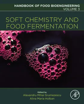 Grumezescu / Holban |  Soft Chemistry and Food Fermentation | eBook | Sack Fachmedien