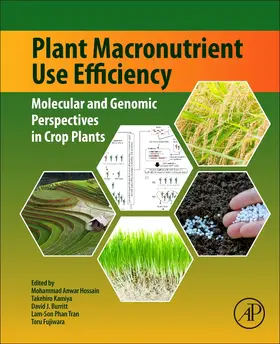 Hossain / Kamiya / Burritt |  Plant Macronutrient Use Efficiency | Buch |  Sack Fachmedien