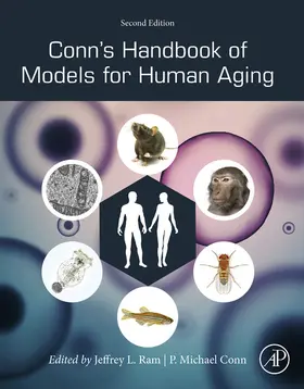 Ram Ph. D. / Conn |  Conn's Handbook of Models for Human Aging | eBook | Sack Fachmedien