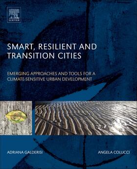 Galderisi / Colucci |  Smart, Resilient and Transition Cities: Emerging Approaches and Tools for a Climate-Sensitive Urban Development | Buch |  Sack Fachmedien