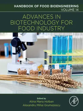 Grumezescu / Holban |  Advances in Biotechnology for Food Industry | eBook | Sack Fachmedien