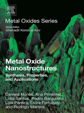 Nunes / Pimentel / Santos |  Metal Oxide Nanostructures | eBook | Sack Fachmedien