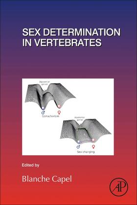 Capel |  Sex Determination in Vertebrates | Buch |  Sack Fachmedien