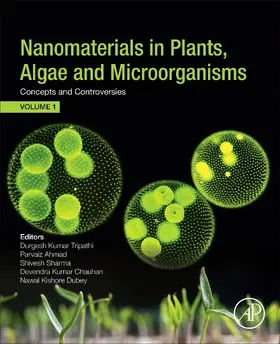 Tripathi D. Phil. / Ahmad / Sharma |  Nanomaterials in Plants, Algae, and Microorganisms | eBook | Sack Fachmedien