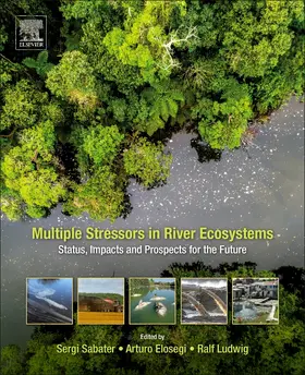 Sabater / Elosegi / Ludwig |  Multiple Stressors in River Ecosystems | Buch |  Sack Fachmedien