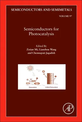  Semiconductors for Photocatalysis | Buch |  Sack Fachmedien