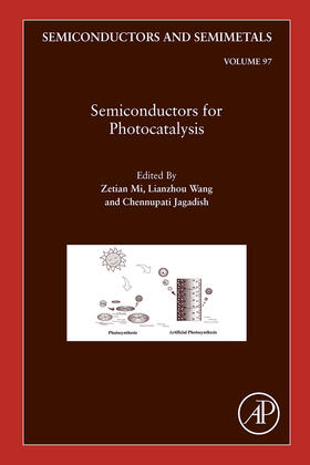 Mi / Wang / Jagadish |  Semiconductors for Photocatalysis | eBook | Sack Fachmedien