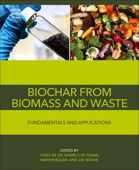 Tsang / Bolan / Novak |  Biochar from Biomass and Waste | Buch |  Sack Fachmedien