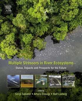 Sabater / Elosegi / Ludwig |  Multiple Stressors in River Ecosystems | eBook | Sack Fachmedien