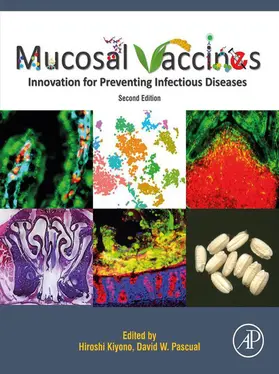 Pascual |  Mucosal Vaccines | eBook | Sack Fachmedien