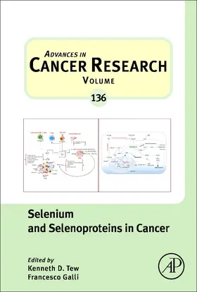 Galli |  Selenium and Selenoproteins in Cancer | Buch |  Sack Fachmedien