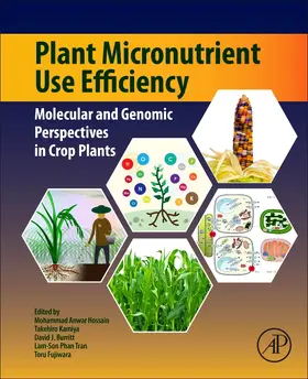 Hossain / Kamiya / Burritt |  Plant Micronutrient Use Efficiency | Buch |  Sack Fachmedien