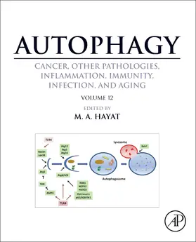 Hayat |  Autophagy: Cancer, Other Pathologies, Inflammation, Immunity, Infection, and Aging | Buch |  Sack Fachmedien