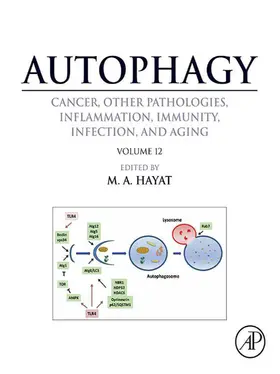 Hayat |  Autophagy: Cancer, Other Pathologies, Inflammation, Immunity, Infection, and Aging | eBook | Sack Fachmedien