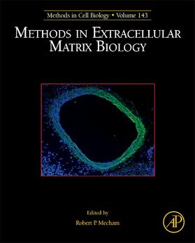 Mecham |  Methods in Extracellular Matrix Biology | Buch |  Sack Fachmedien