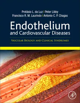 Da Luz / Libby / Martins Laurindo |  Endothelium and Cardiovascular Diseases | Buch |  Sack Fachmedien