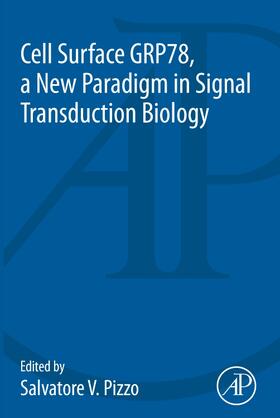 Pizzo |  Cell Surface GRP78, a New Paradigm in Signal Transduction Biology | Buch |  Sack Fachmedien