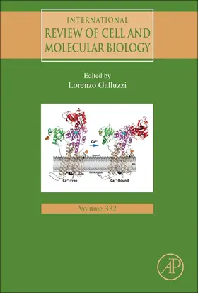 Galluzzi |  International Review of Cell and Molecular Biology | Buch |  Sack Fachmedien