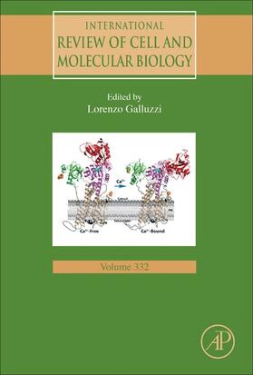 Galluzzi |  International Review of Cell and Molecular Biology | eBook | Sack Fachmedien