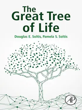 Soltis |  The Great Tree of Life | eBook | Sack Fachmedien