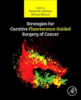 Hoffman / Bouvet |  Strategies for Curative Fluorescence-Guided Surgery of Cancer | Buch |  Sack Fachmedien