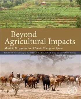 Zinyengere / Theodory / Gebreyes |  Beyond Agricultural Impacts | Buch |  Sack Fachmedien