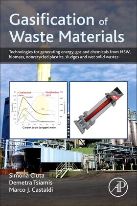 Ciuta / Tsiamis / Castaldi |  Gasification of Waste Materials | Buch |  Sack Fachmedien