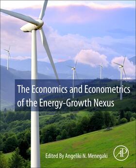 Menegaki |  The Economics and Econometrics of the Energy-Growth Nexus | Buch |  Sack Fachmedien