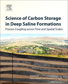 Newell / Ilgen |  Science of Carbon Storage in Deep Saline Formations | Buch |  Sack Fachmedien