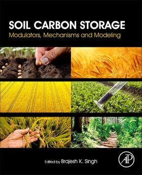 Singh |  Soil Carbon Storage | Buch |  Sack Fachmedien