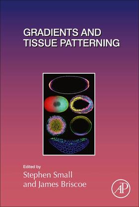  Gradients and Tissue Patterning | Buch |  Sack Fachmedien