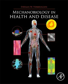 Verbruggen |  Mechanobiology in Health and Disease | Buch |  Sack Fachmedien