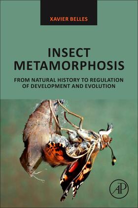 Belles |  Insect Metamorphosis | Buch |  Sack Fachmedien