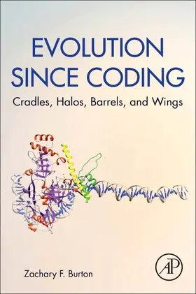 Burton |  Evolution Since Coding | Buch |  Sack Fachmedien