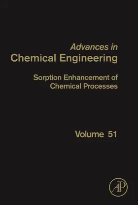  Sorption Enhancement of Chemical Processes | Buch |  Sack Fachmedien