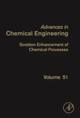 Lemonidou |  Sorption Enhancement of Chemical Processes | eBook | Sack Fachmedien